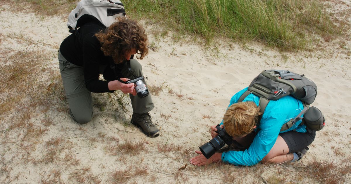 Fotografeer de veelzijdige landschappen, planten en dieren