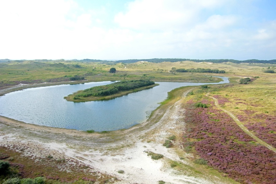 Stiltewandeling Schoorlse Duinen