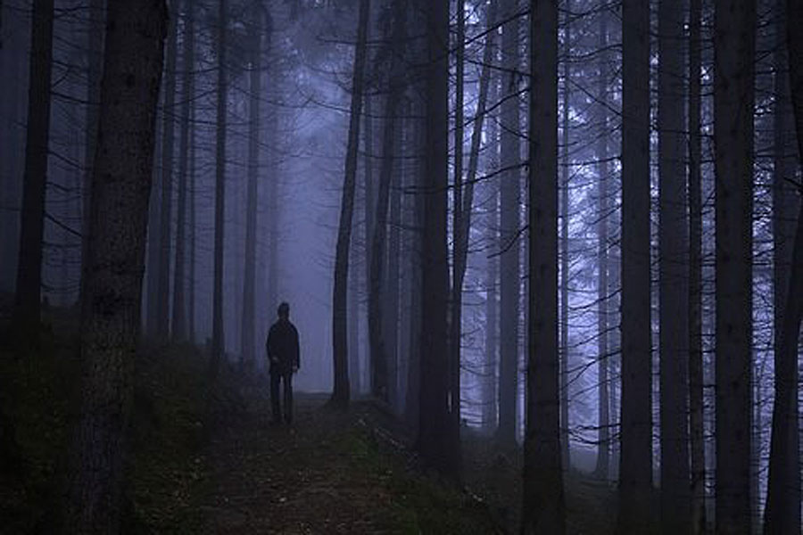 Spannend spel: strikken en stropers in de Schoorlse Duinen