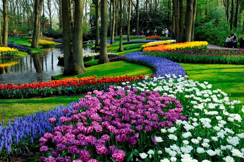 Keukenhof