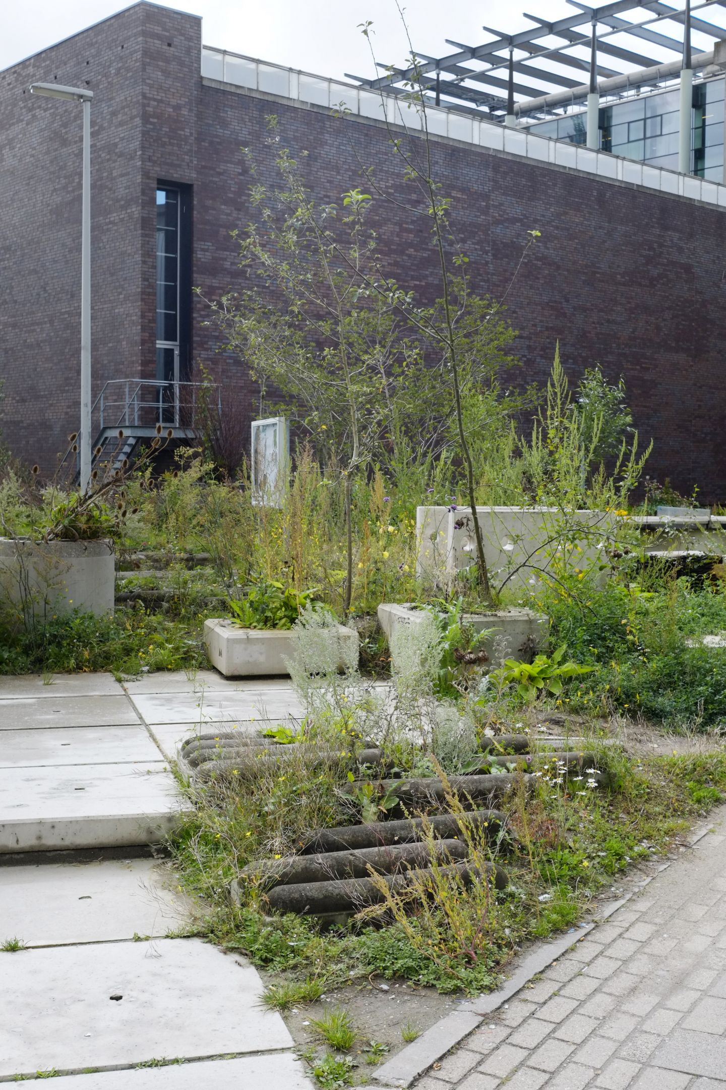 De Nieuwe Tuin Rotterdam Info