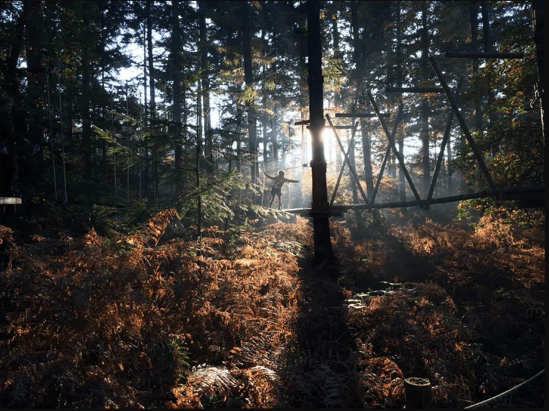 Klimbos Veluwe