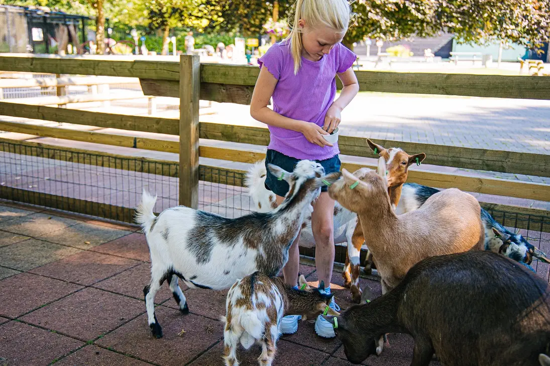 Kinderparadijs Malkenschoten | Binky