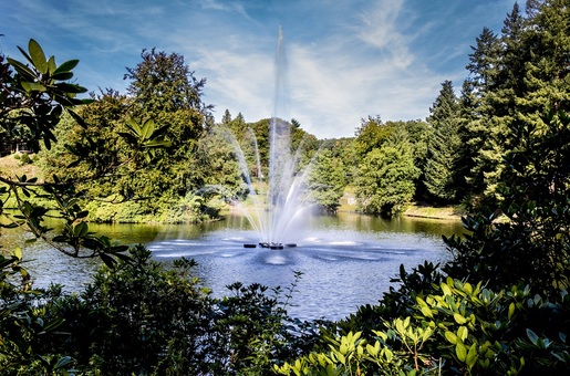 Stadspark Berg & Bos