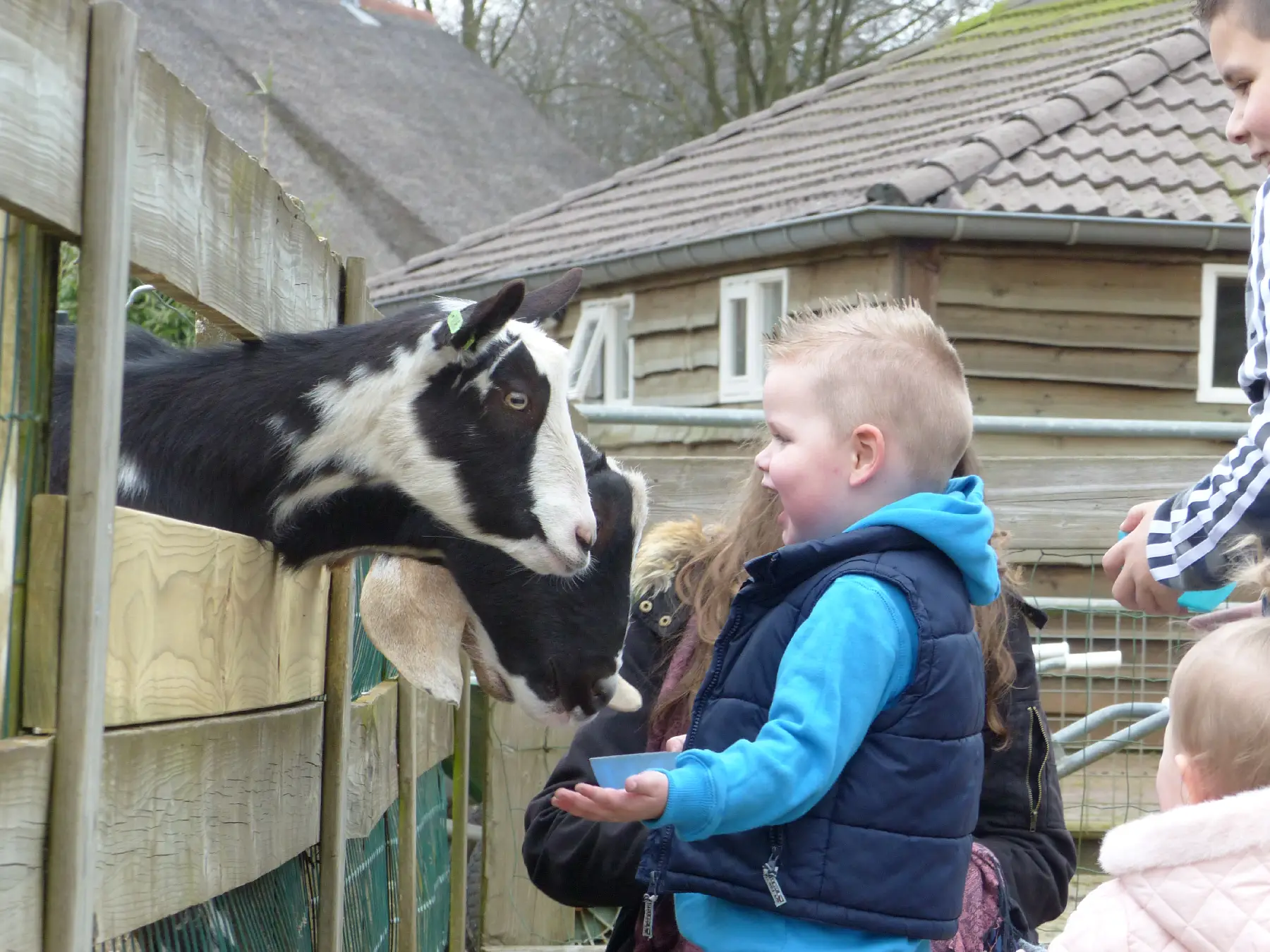 Kinderboerderij De Maten