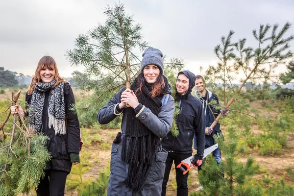 Zaag je eigen Kerstboom