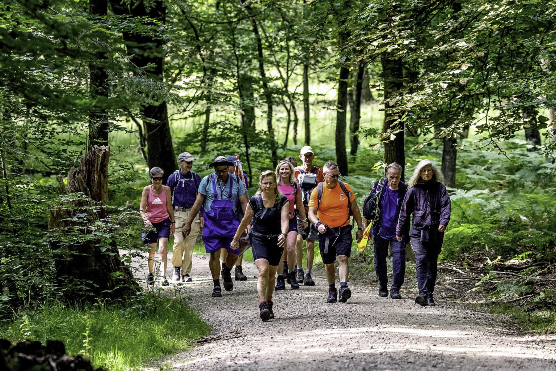 4daagse Apeldoorn