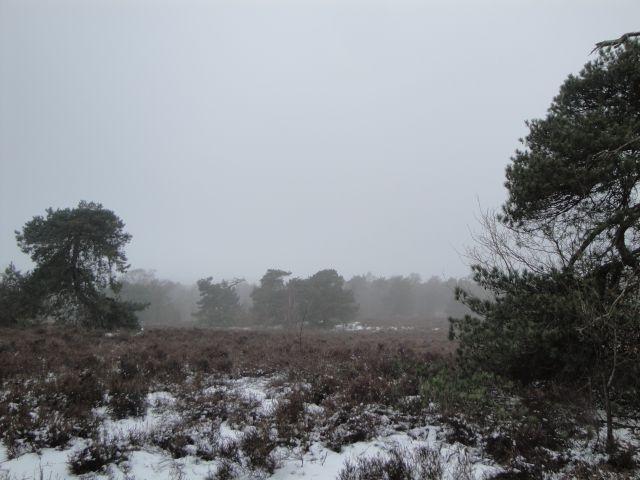 Sylvestertocht