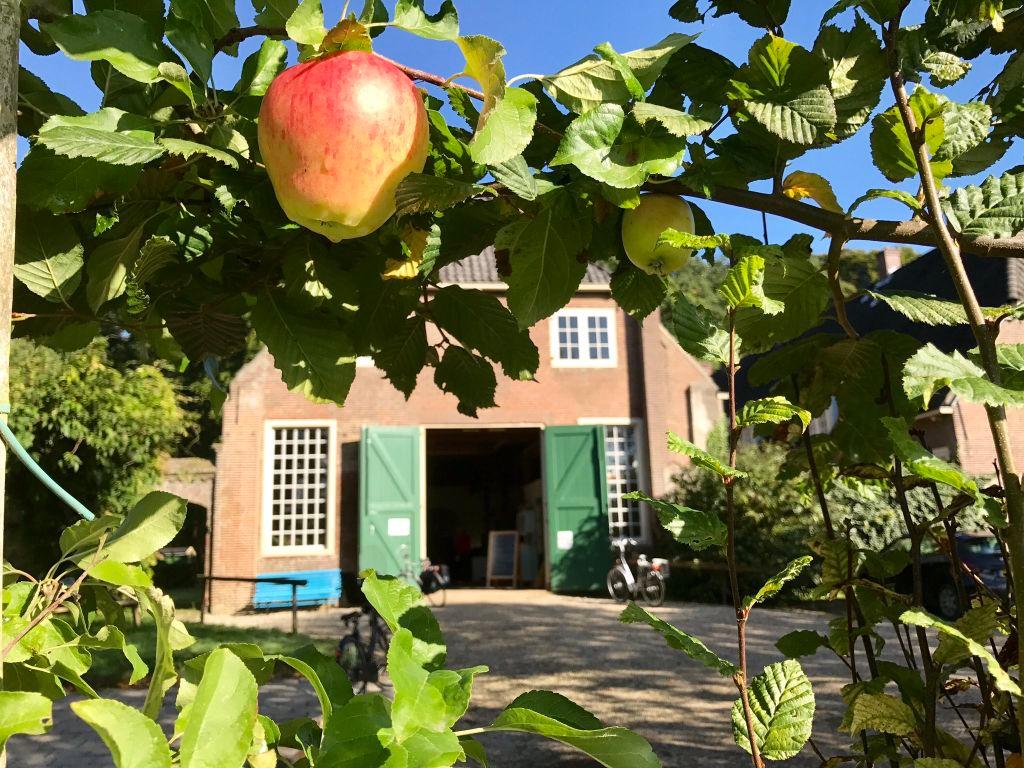 De Oude Olifantenschuur