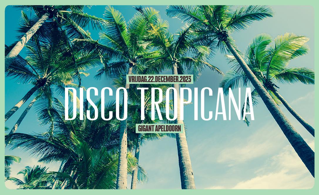 Disco Tropicana
