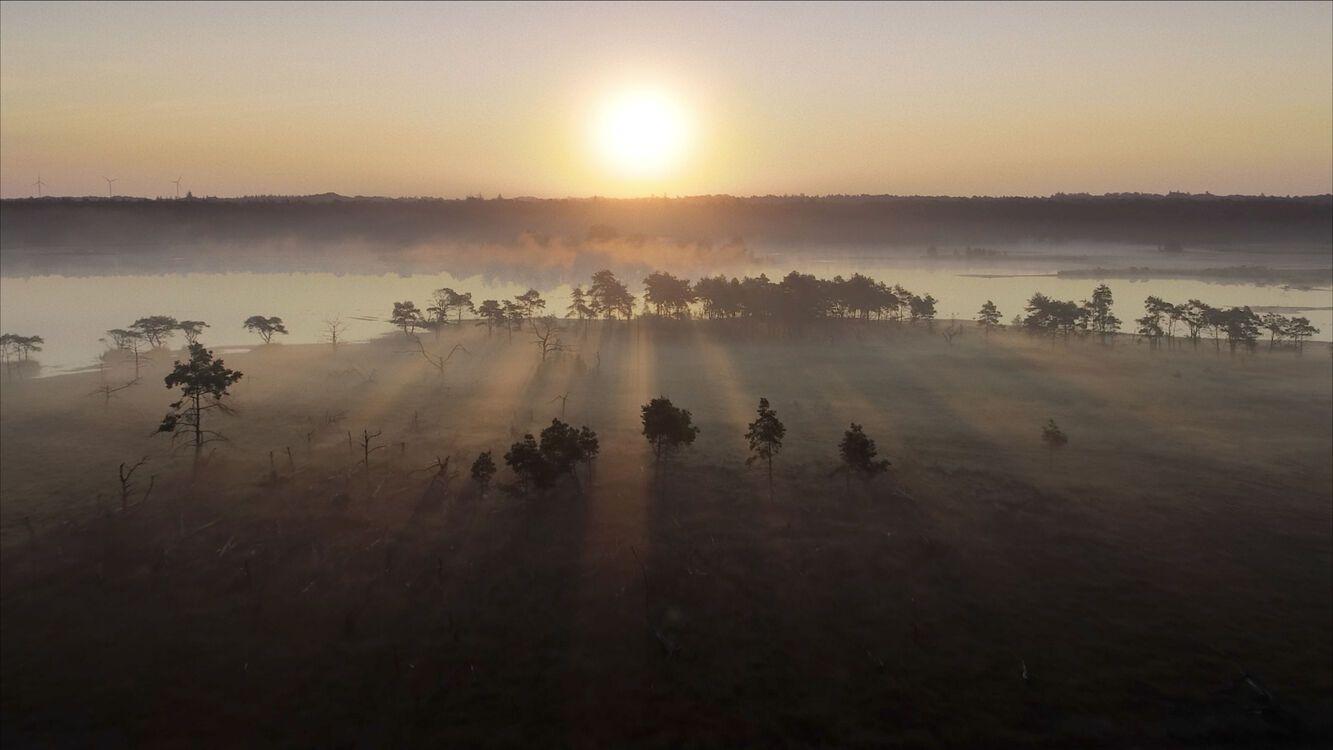 Onze Natuur, het Wilde België