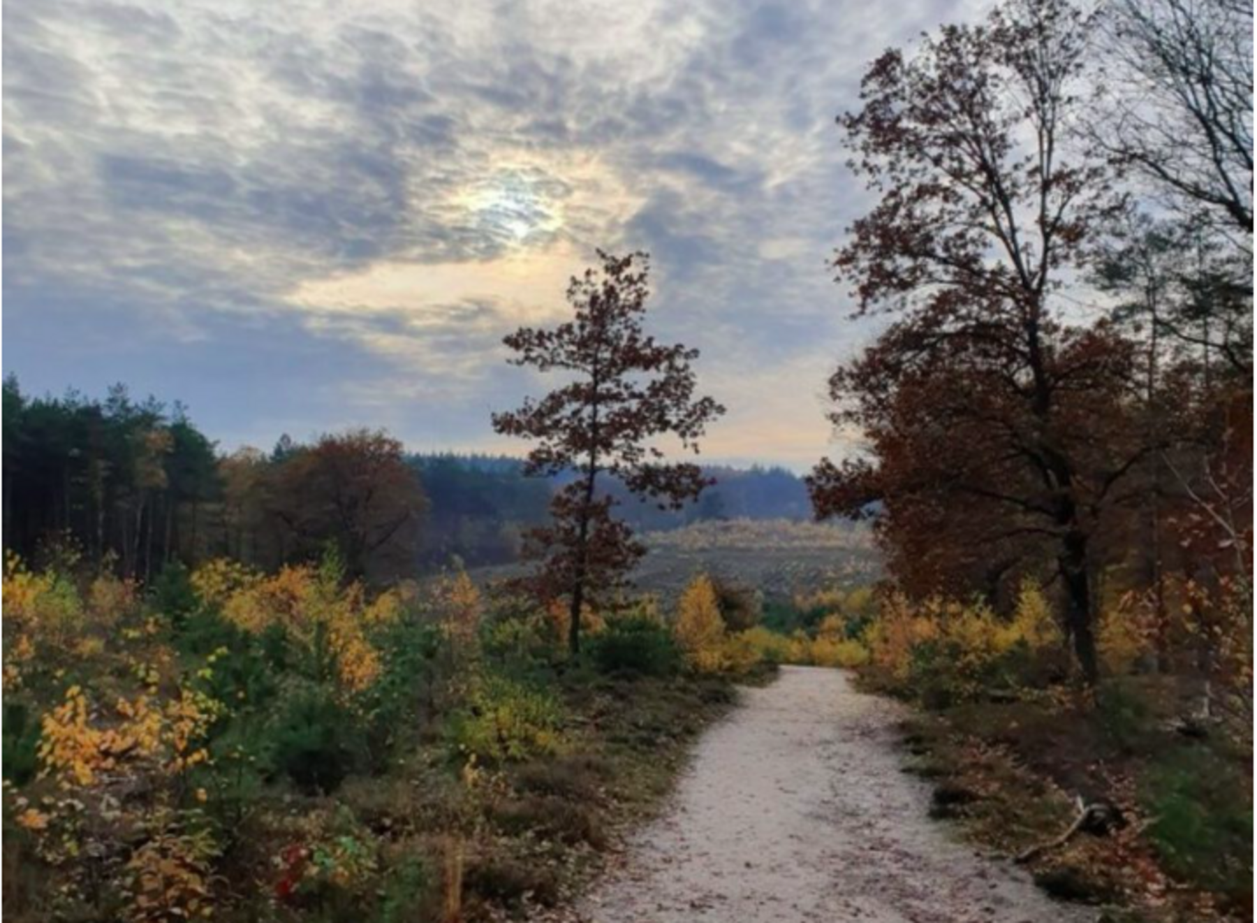 Natuurspotten op ’t Leesten