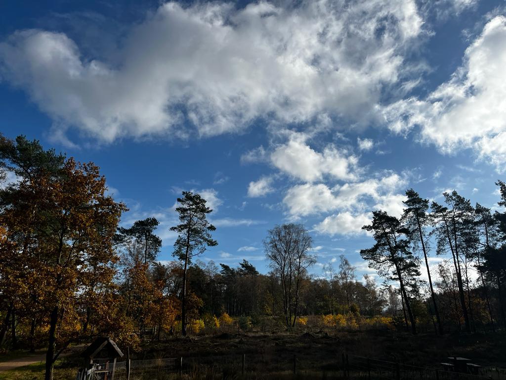 Natuurspotten op ’t Leesten