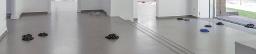 Sarah van Sonsbeeck: Moles of modernism