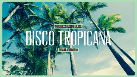 Disco Tropicana