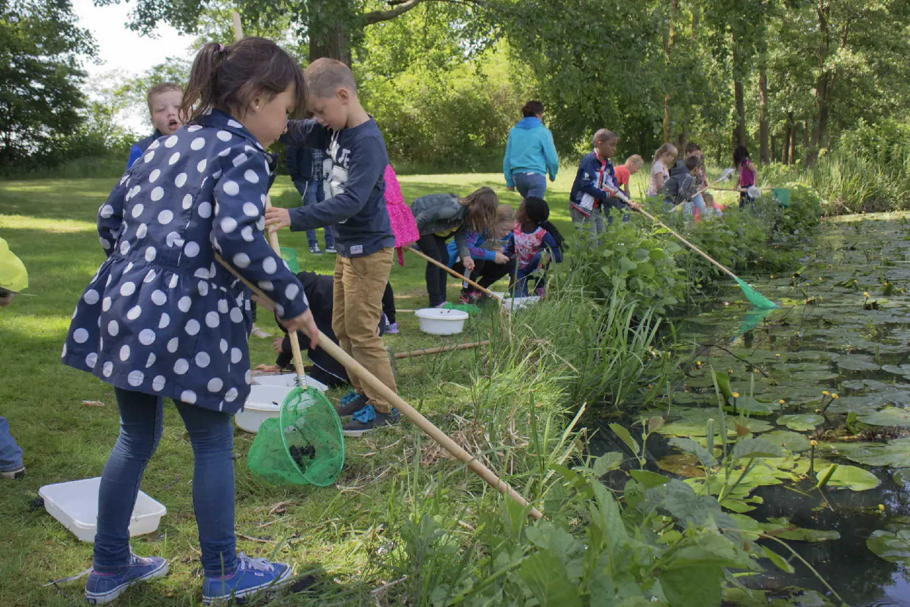 IVN Slootjesdag in Apeldoorn