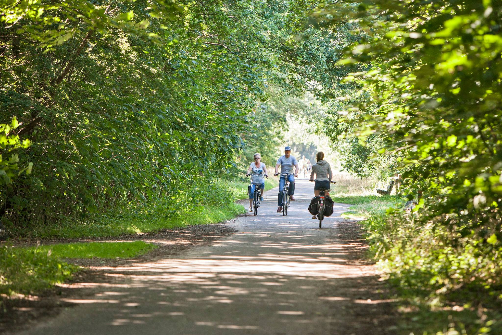 Fietsverhuur Camping Geversduin