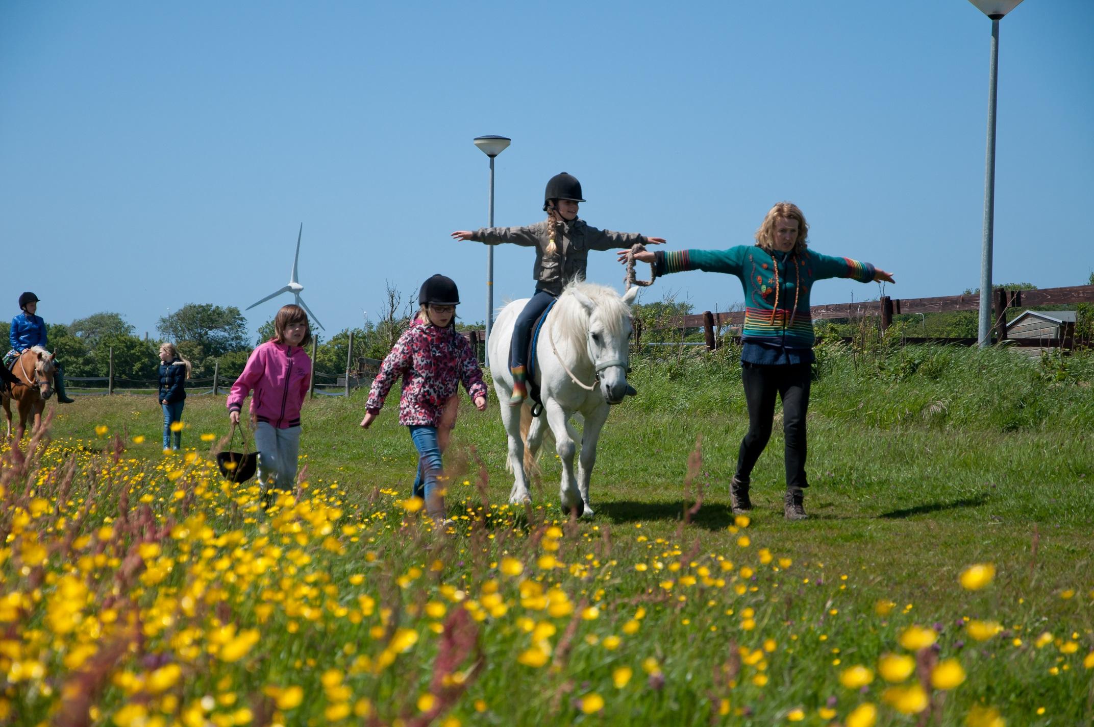 Manege Dapperstal