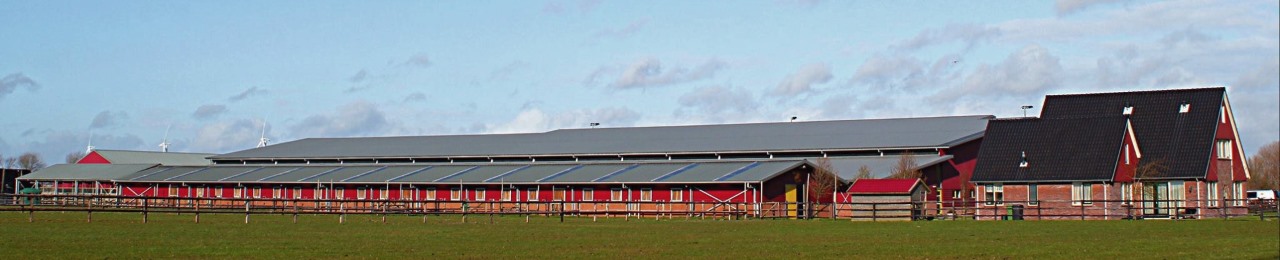 Paardrijden bij Manege Beukers