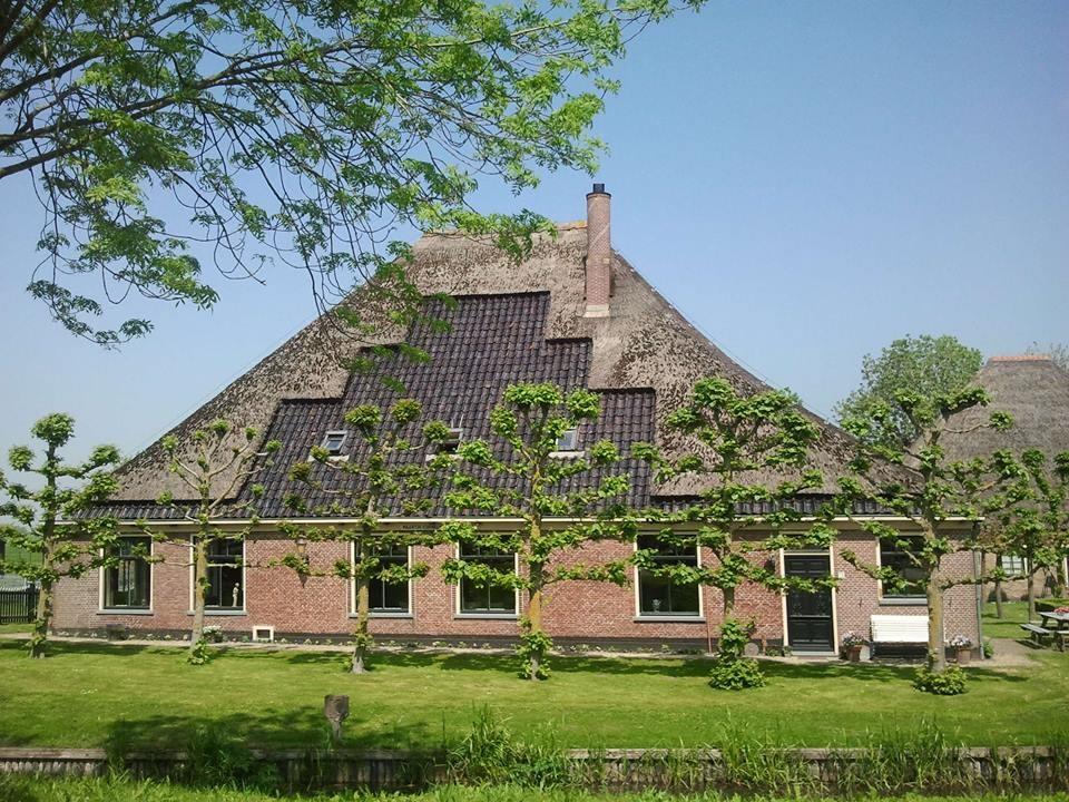 Maartje Cornelis Hoeve