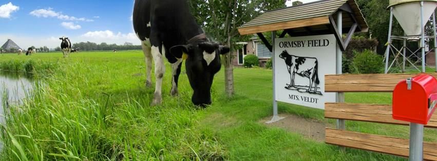 Agrocamping Ormsby Field