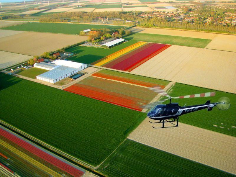 Den Helder Airport CV