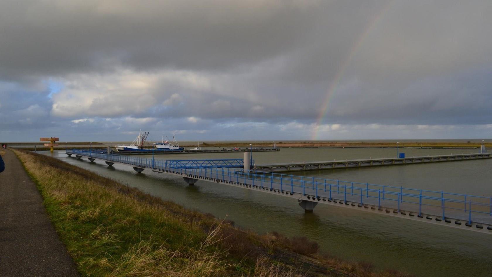 Waddenhaven