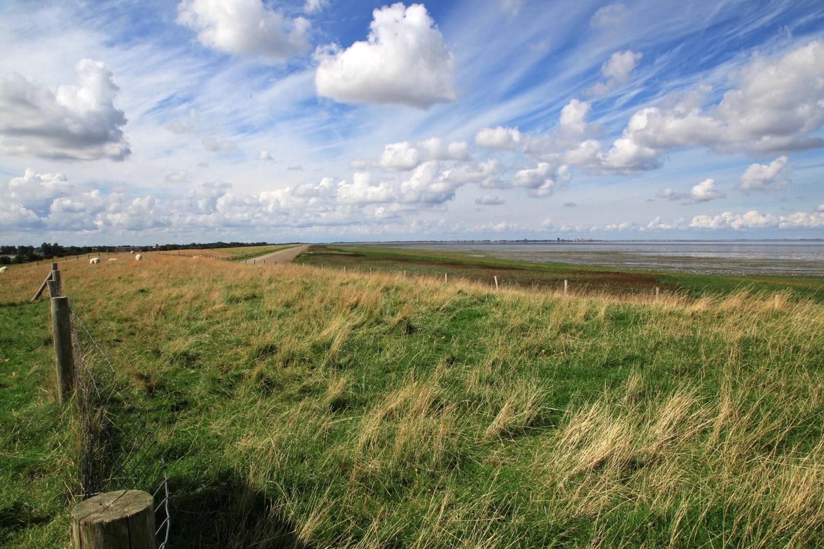 Natuurgebied Wieringen