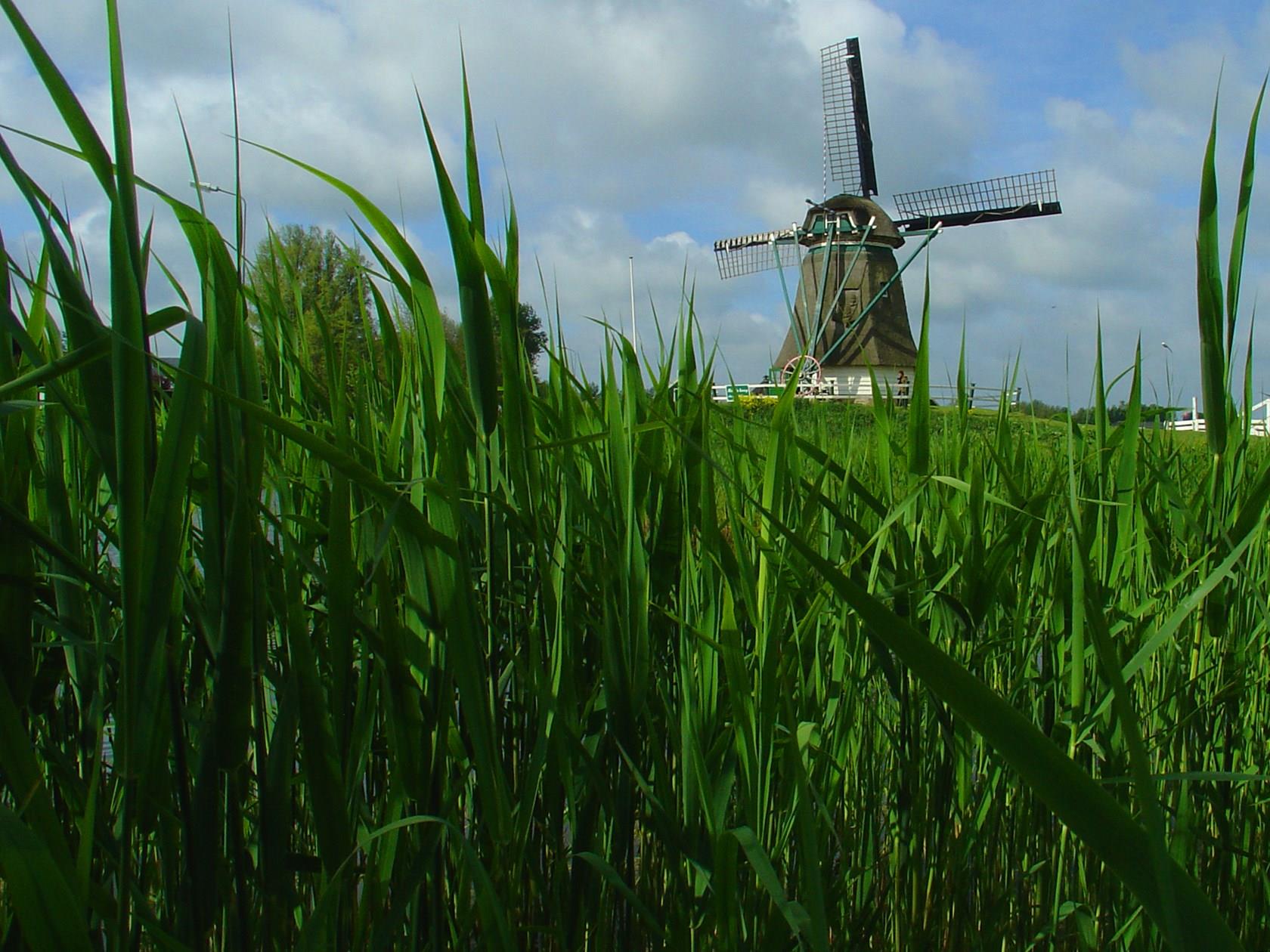 Molen van de polder Geestmerambacht