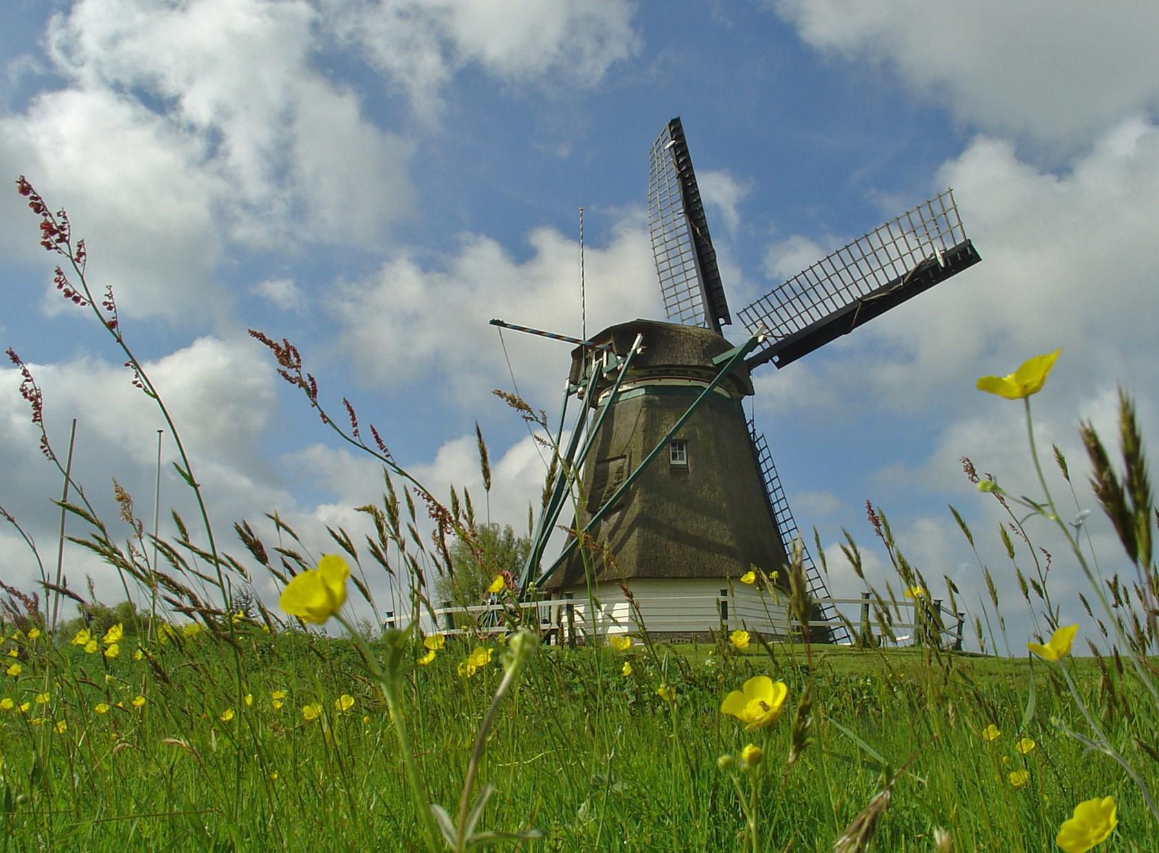 Schermer Molen D