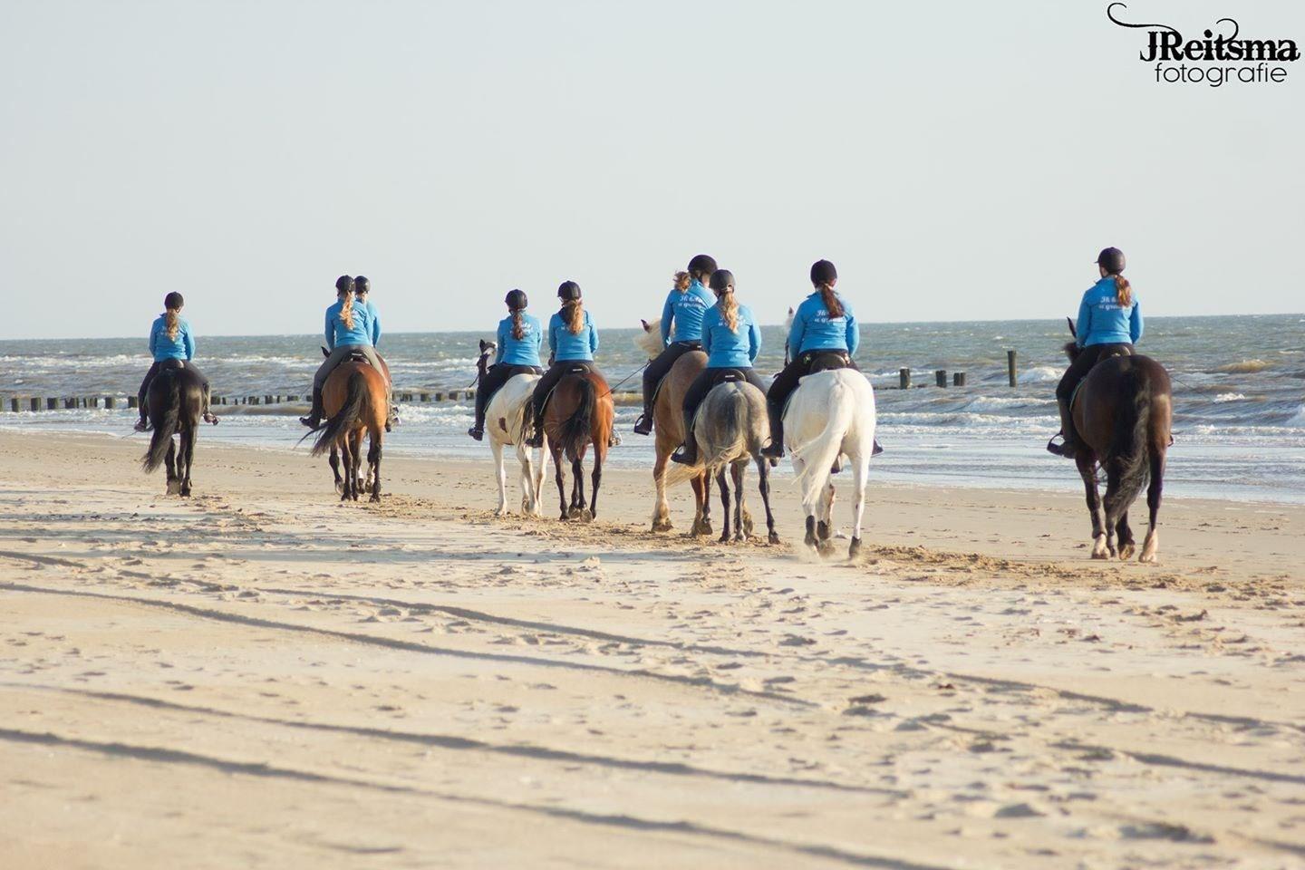 Duin en strandrijden