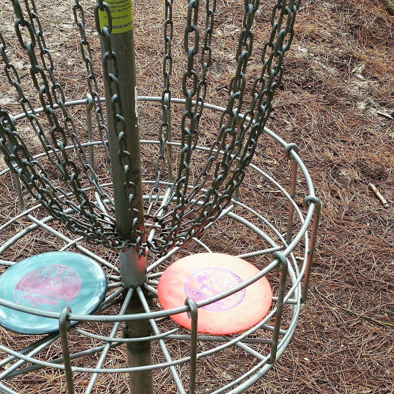 Disc Golf bij Hondsbossche Events