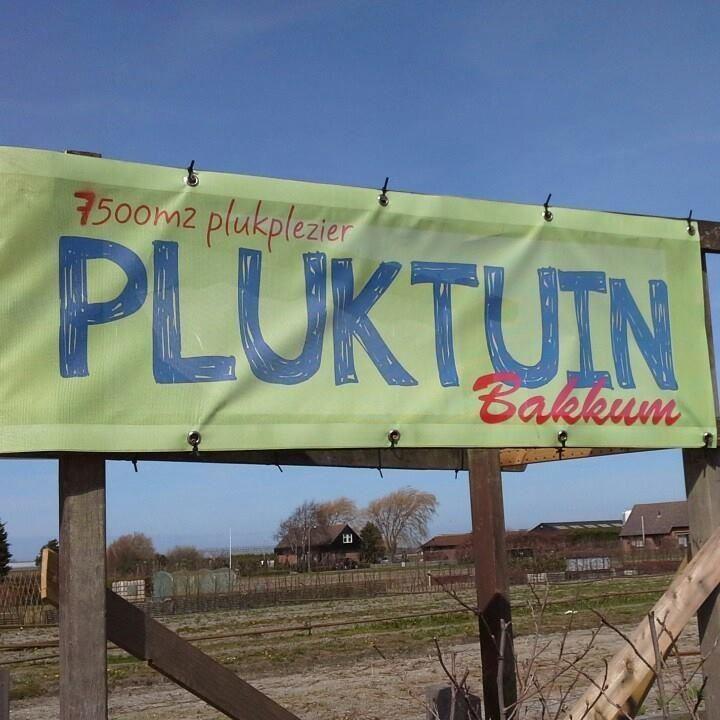 Pluktuin Bakkum