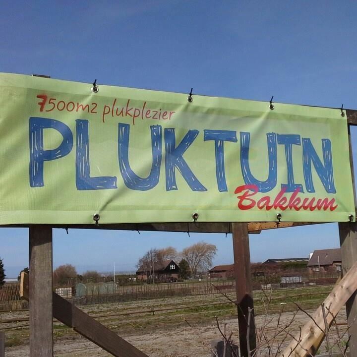 Pluktuin Bakkum