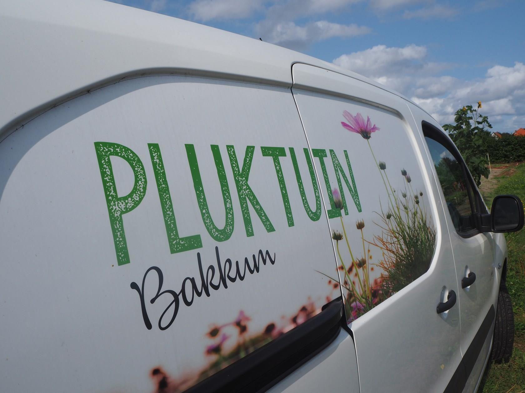 Pluktuin Bakkum