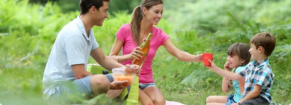 Picknicken
