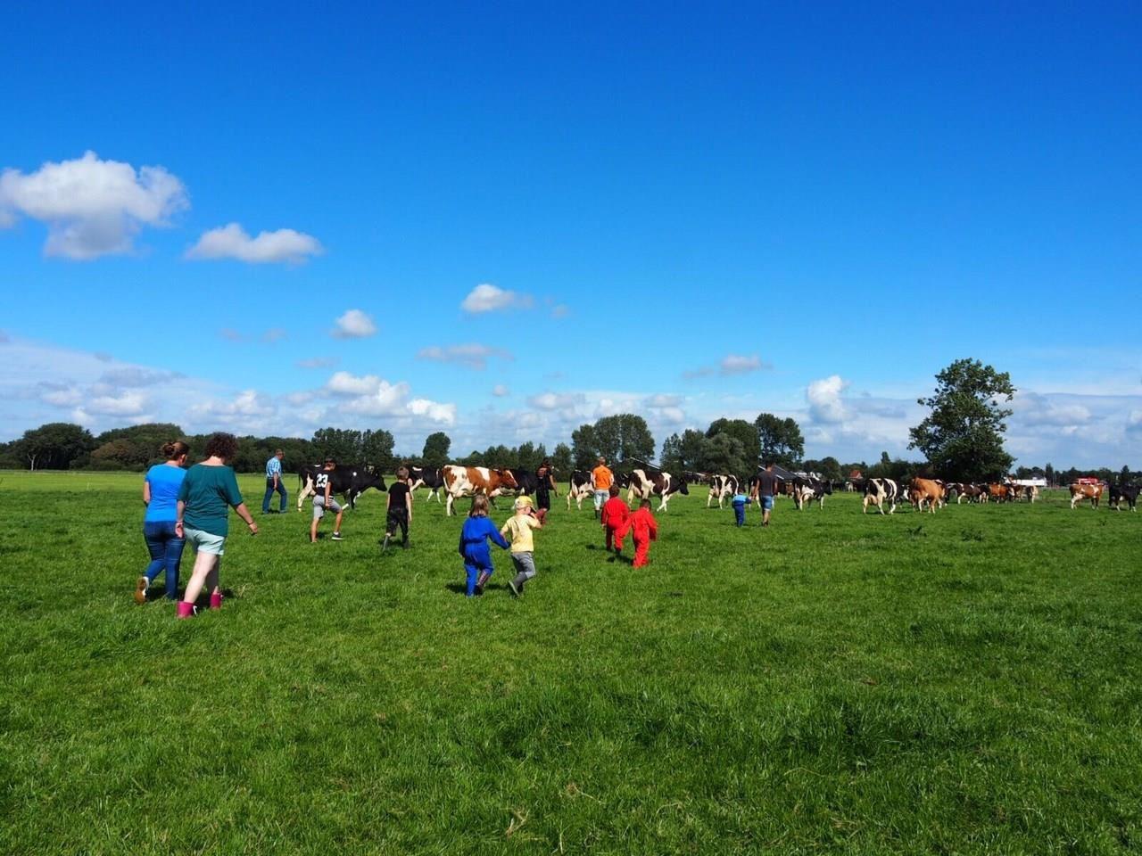 Boerderijcamping de Westert