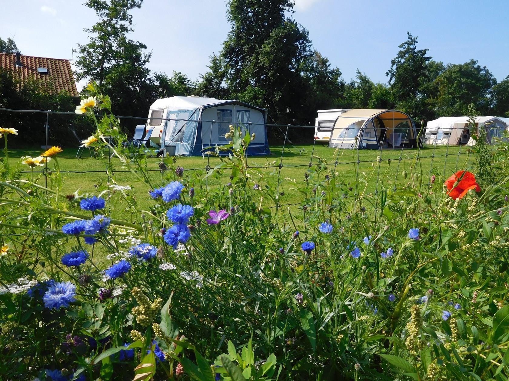 Mini Camping de Westert