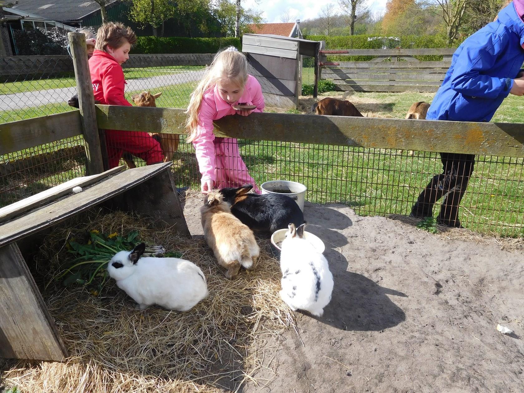 Boerderijcamping de Westert