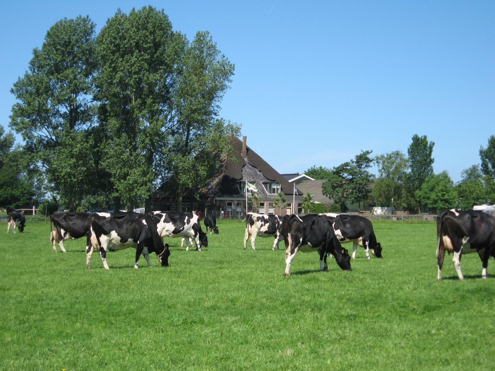 Boerderijcamping de Westert