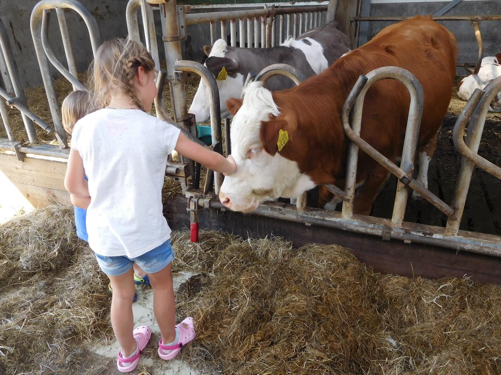 Boerderijcamping de Westert