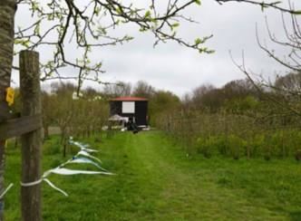 Fruittuin Geestmerambacht