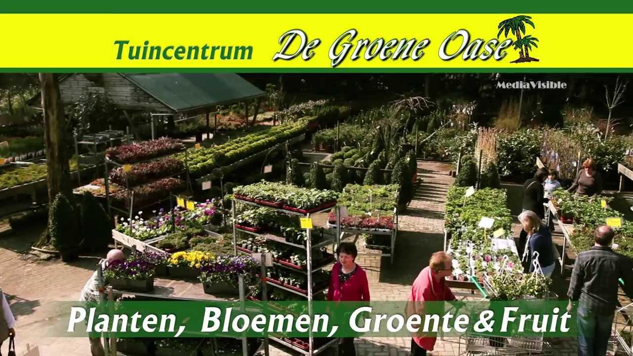 Heb jij groene vingers? - De Groene Oase