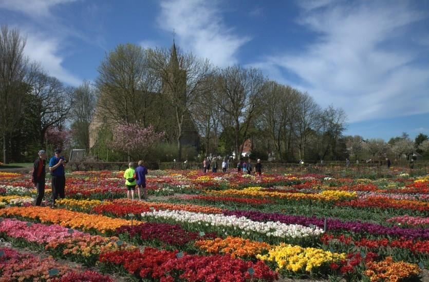 Hortus Bulborum historical flowerbulbgarden Limmen