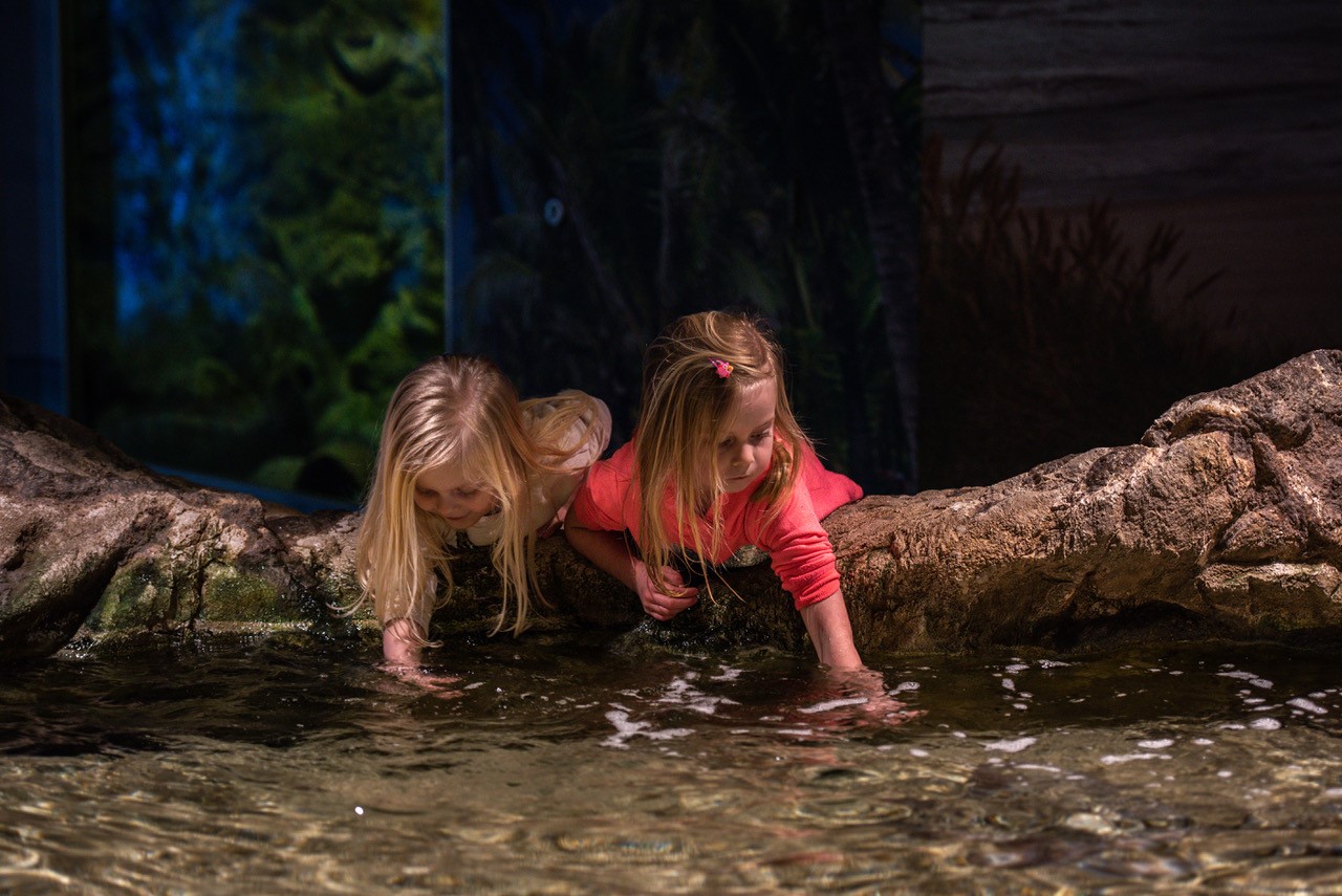Zee Aquarium Bergen aan Zee