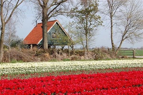 De Schagerwaard