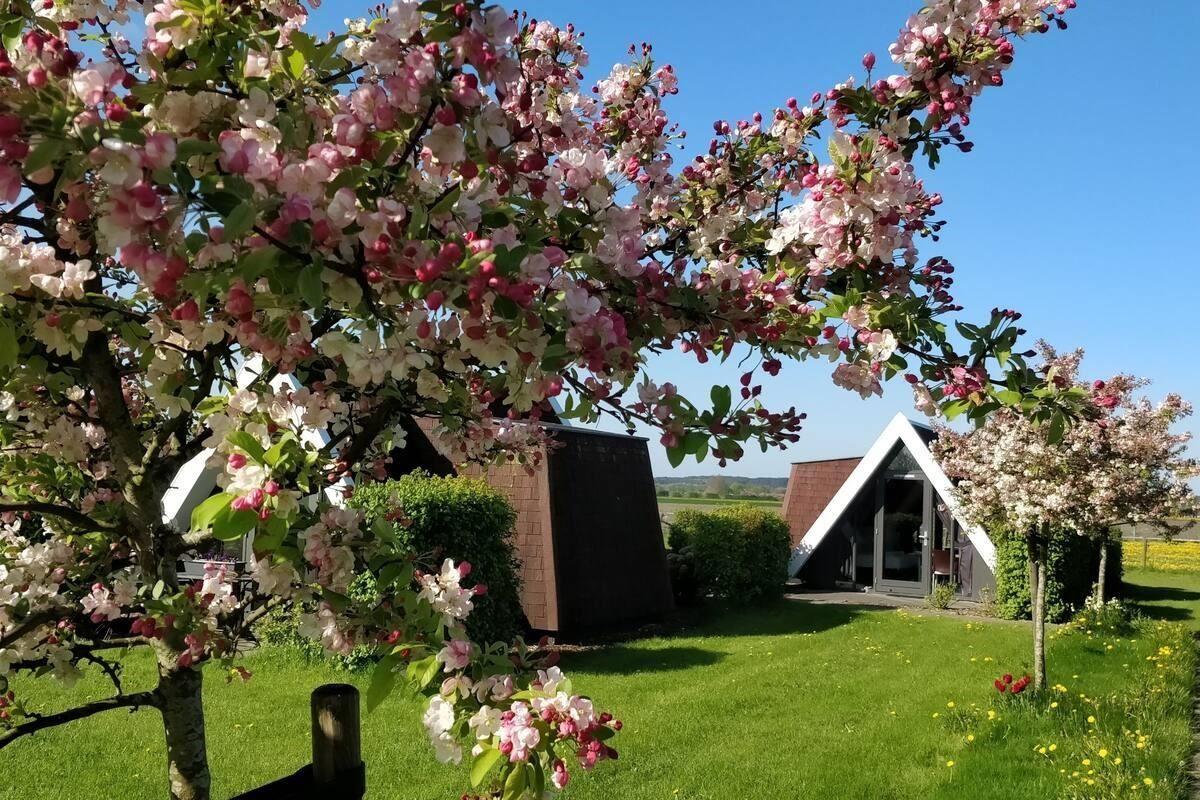 Hotelhuisje Warmenhuizen