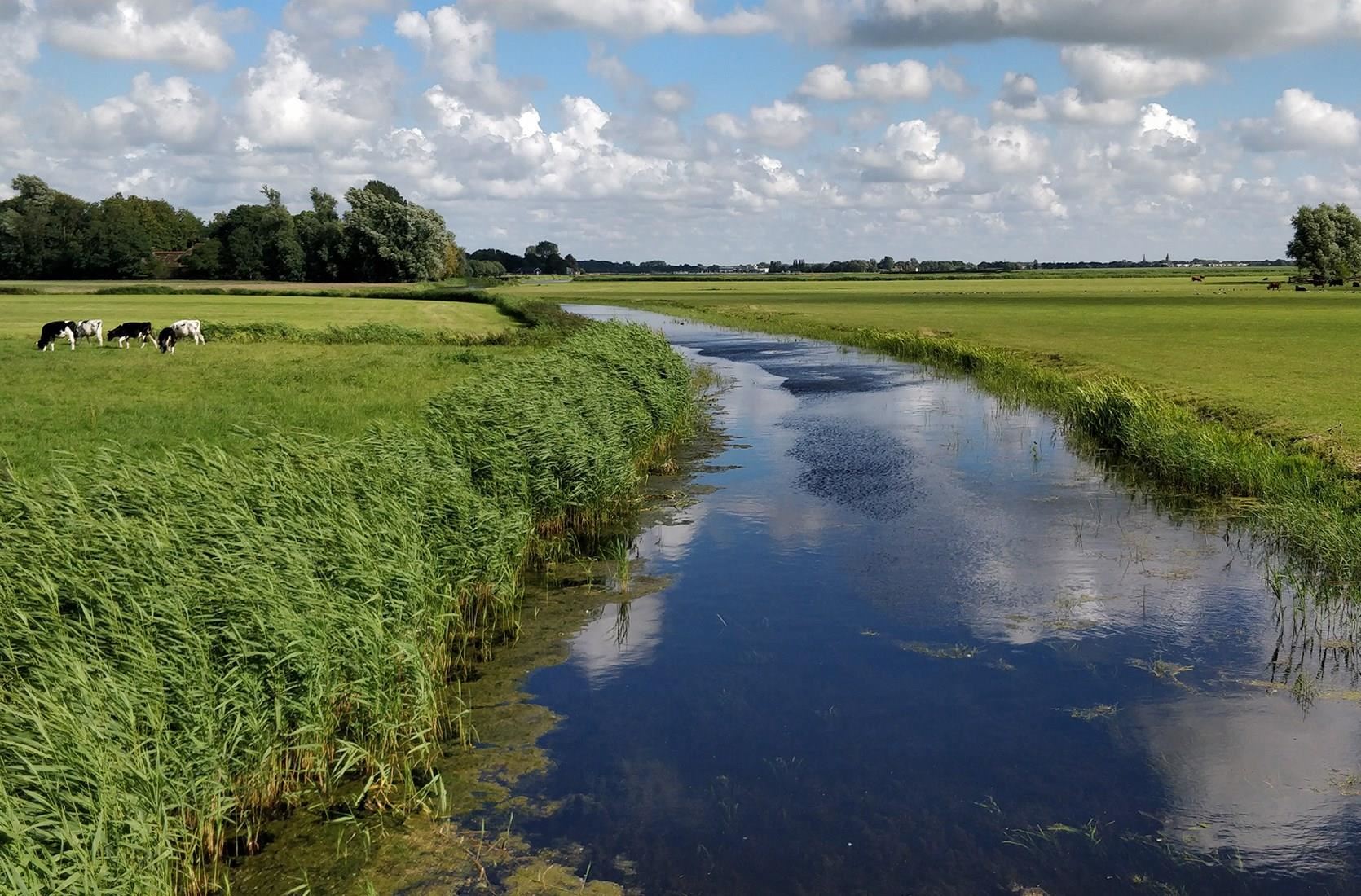 Schulpvaart en geulboog