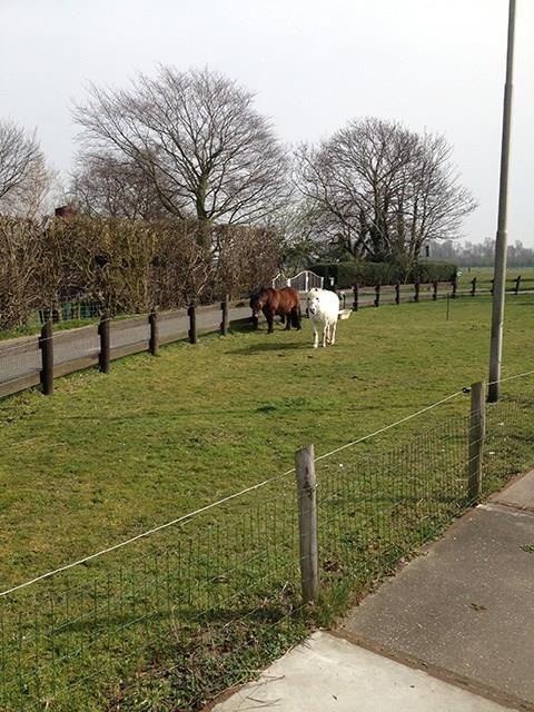 Boerderijcamping De Sleutel-Hoeve