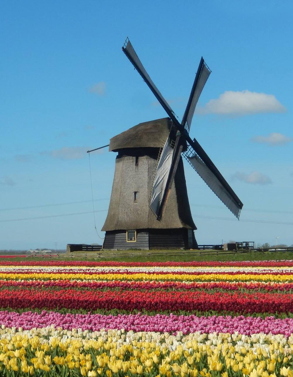 Museummolen Schermerhorn